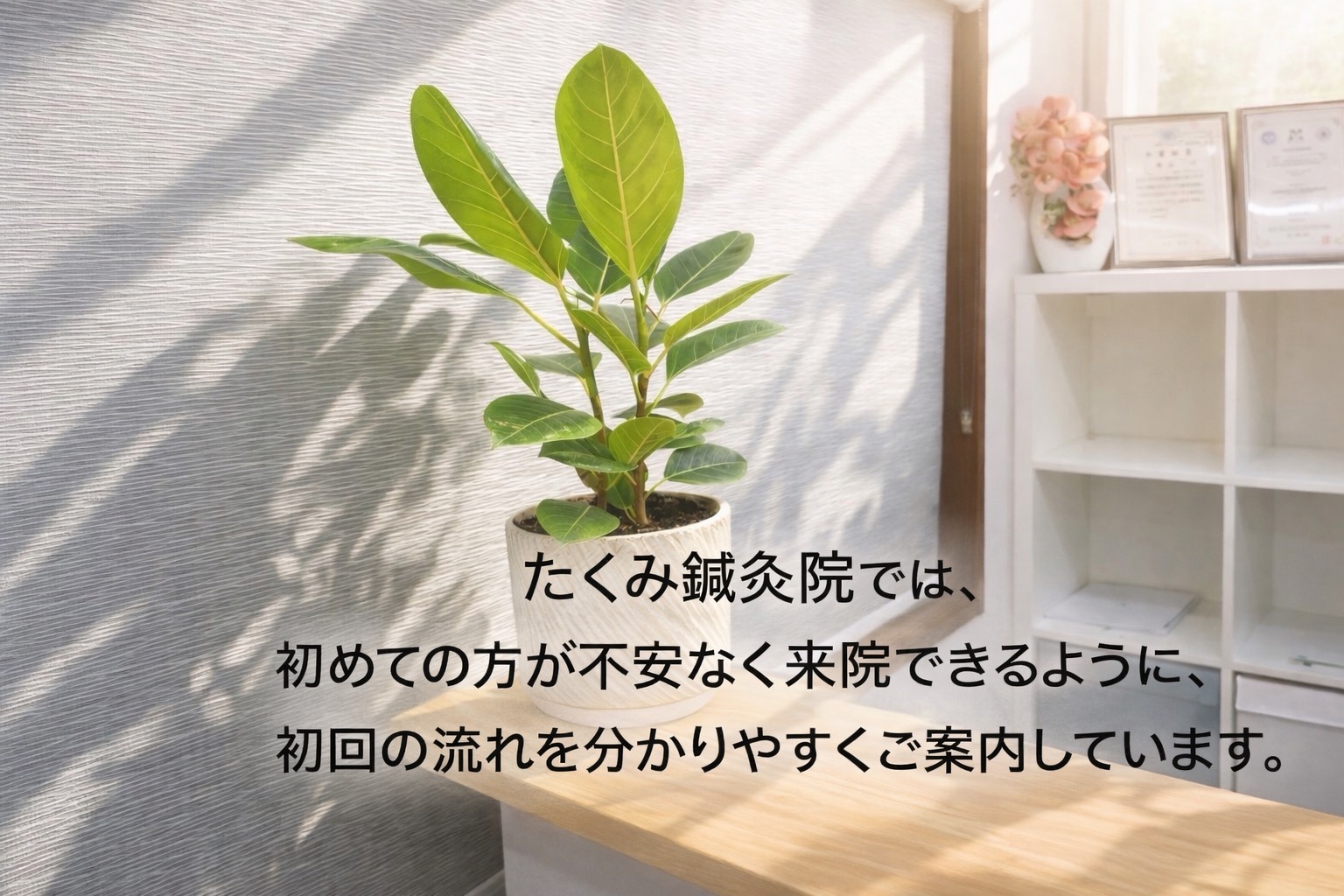 初回キャンペーンのご案内